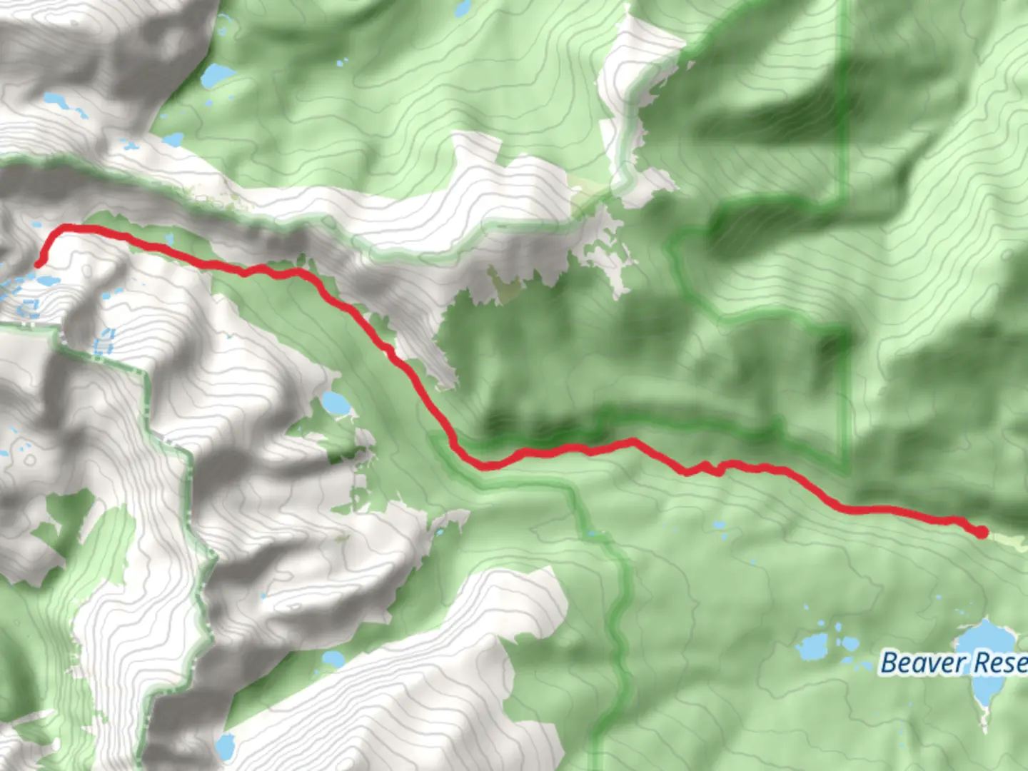 An image depicting the trail Gibraltar Lake via Buchannan Pass Trail and its surrounding area.