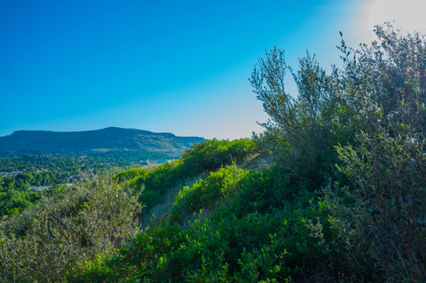 An image depicting the trail Chimney Gulch Trail and its surrounding area.