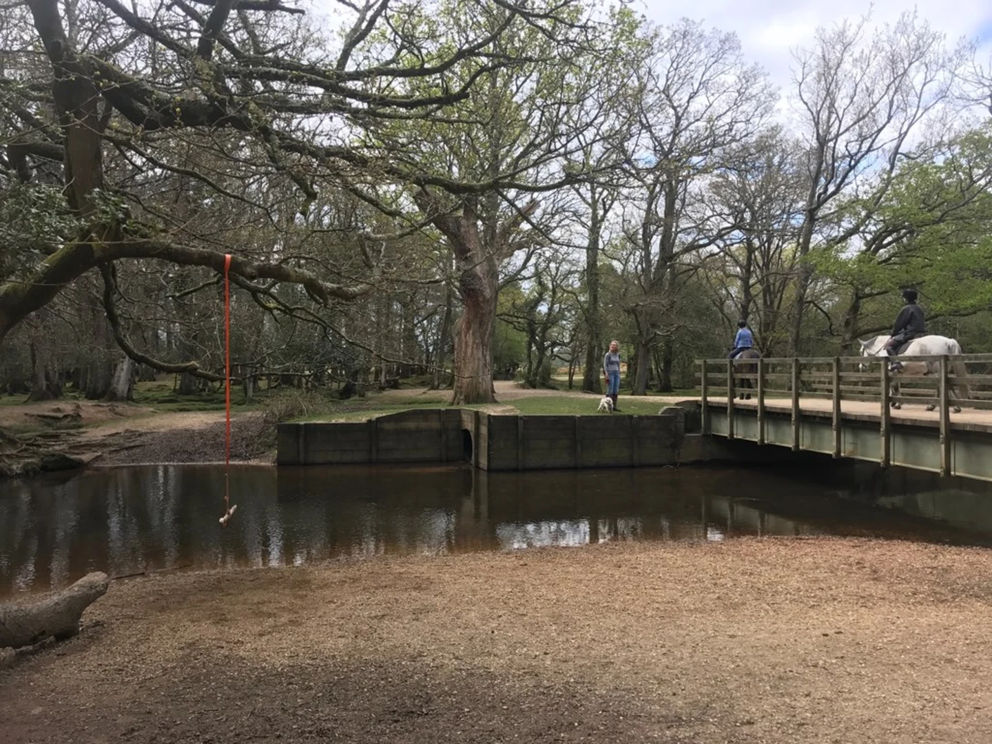 An image depicting the trail Brockenhurst to Lyndhurst Walk and its surrounding area.