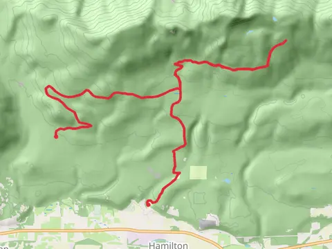 Walk beside Muddy Creek and Manser Creek