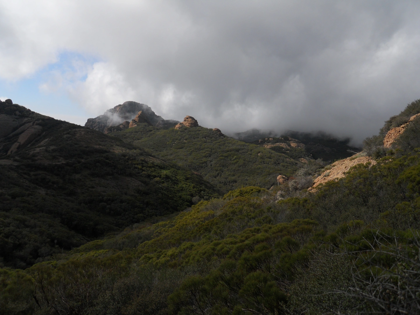 An image depicting the trail Mishe Mokwa Trail - Backbone Trail and its surrounding area.