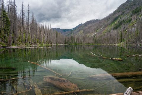 An image depicting the trail Myrtle Lake via Ice Creek Trail and its surrounding area.
