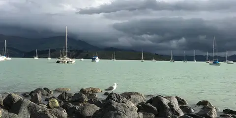 An image depicting the trail Coast Trail along Cass Bay and Corsair Bay and its surrounding area.