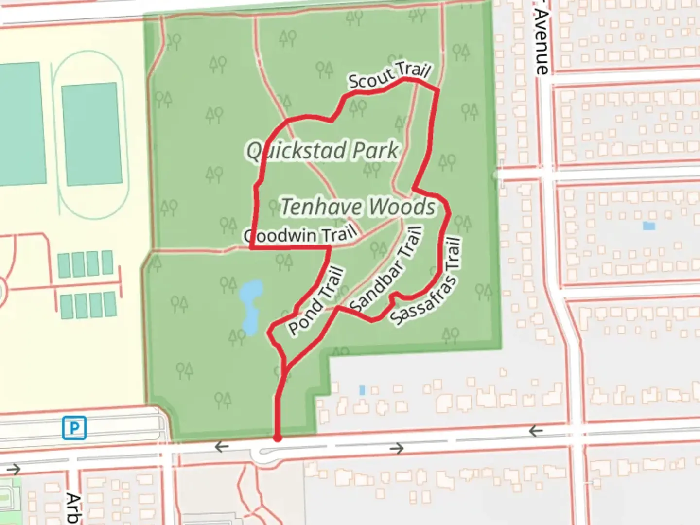An image depicting the trail Sassafras and Scout Loop Trail and its surrounding area.