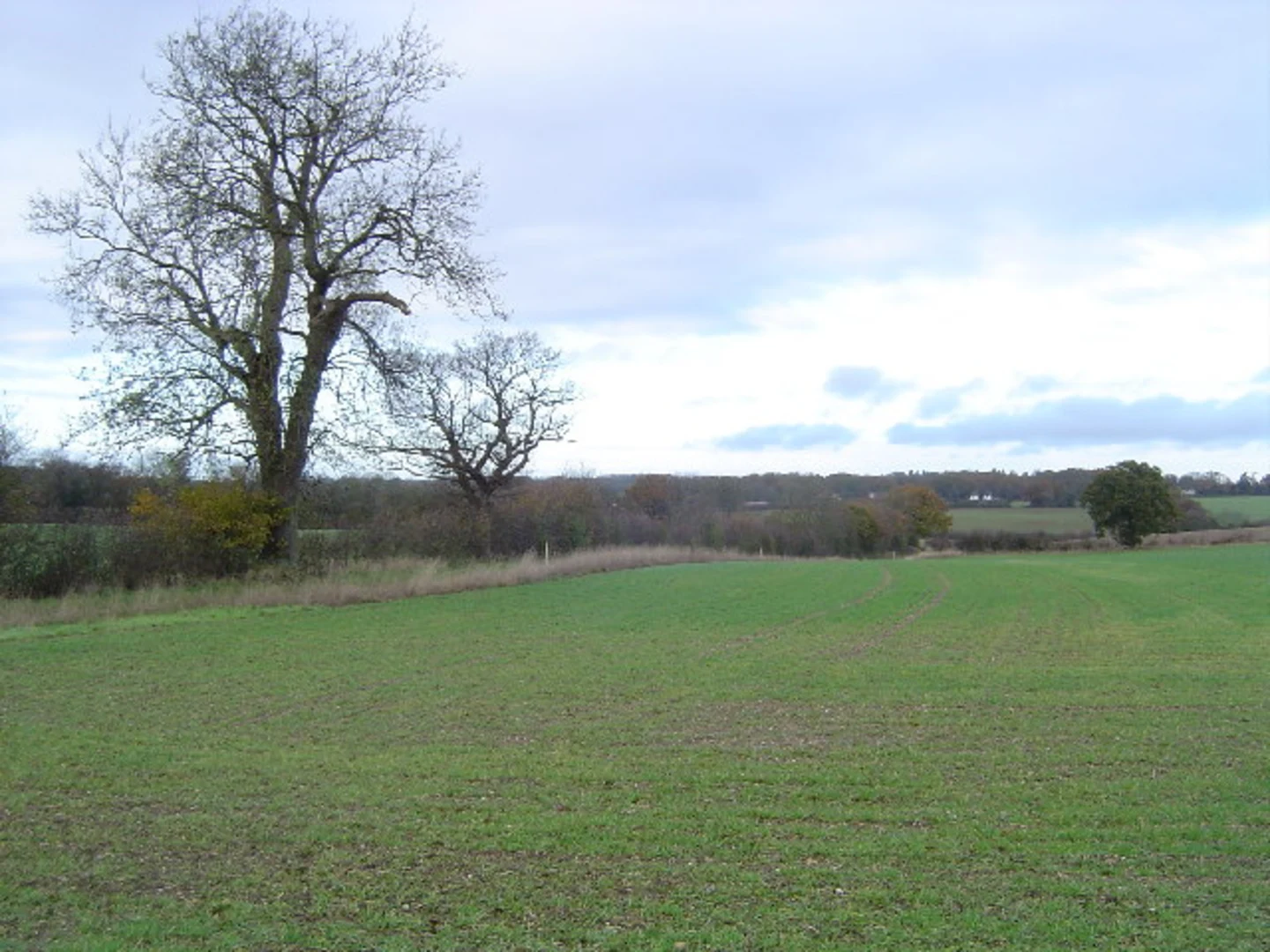 An image depicting the trail St Albans to Childwick Green and its surrounding area.