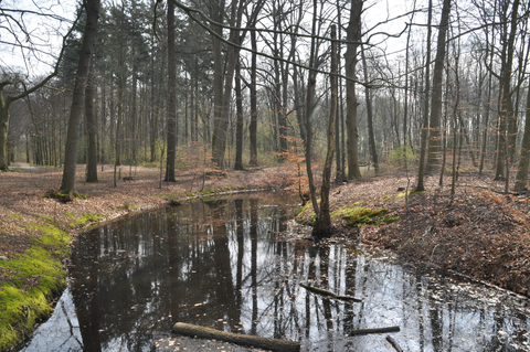 Olst to Zutphen via Sallandpad and Hanzestedenpad