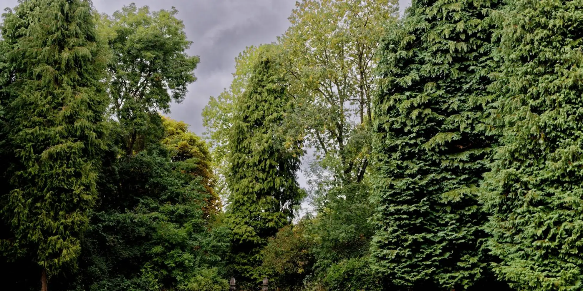 An image depicting the trail Whipsnade Tree Cathedral Walk and its surrounding area.