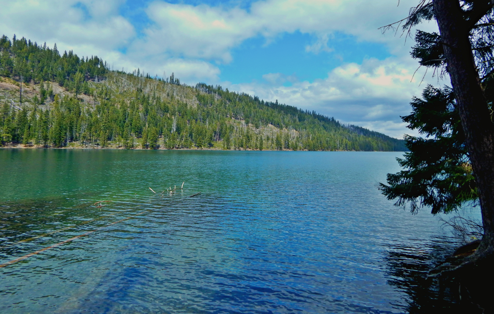An image depicting the trail Lake Creek Trail and its surrounding area.