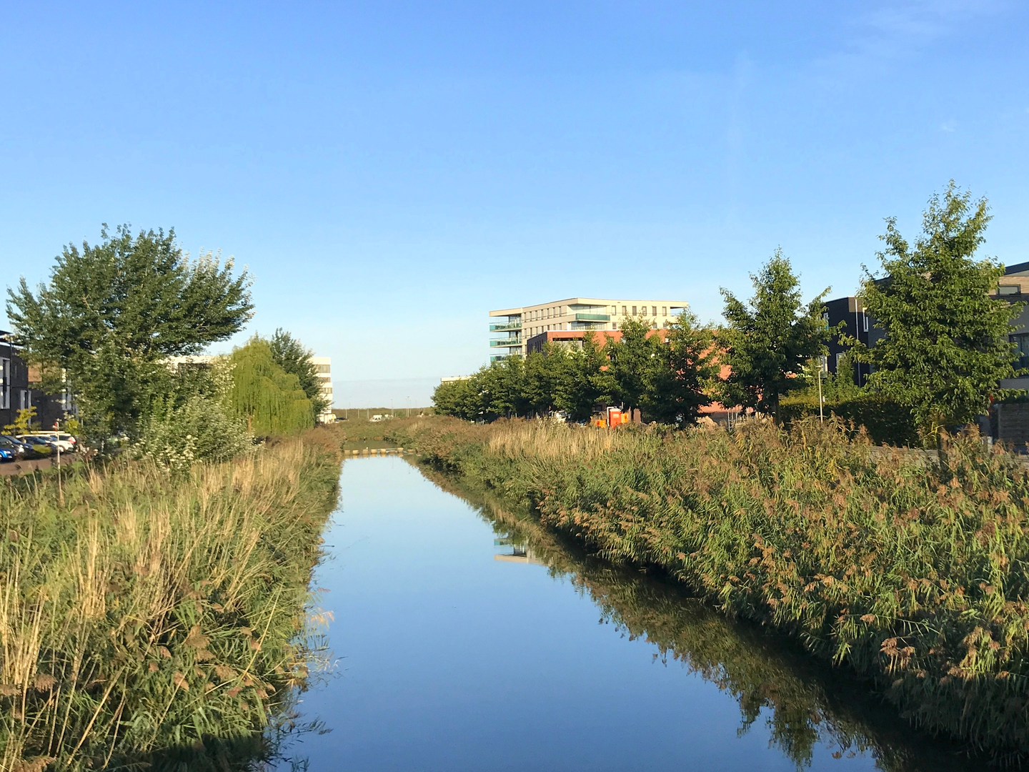 An image depicting the trail Almere Buiten to Centrum via Noorderleedeweg, Michelinpad and Gooimeerdijk West and its surrounding area.