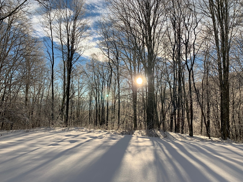An image depicting the trail Max Patch Loop Trail and its surrounding area.