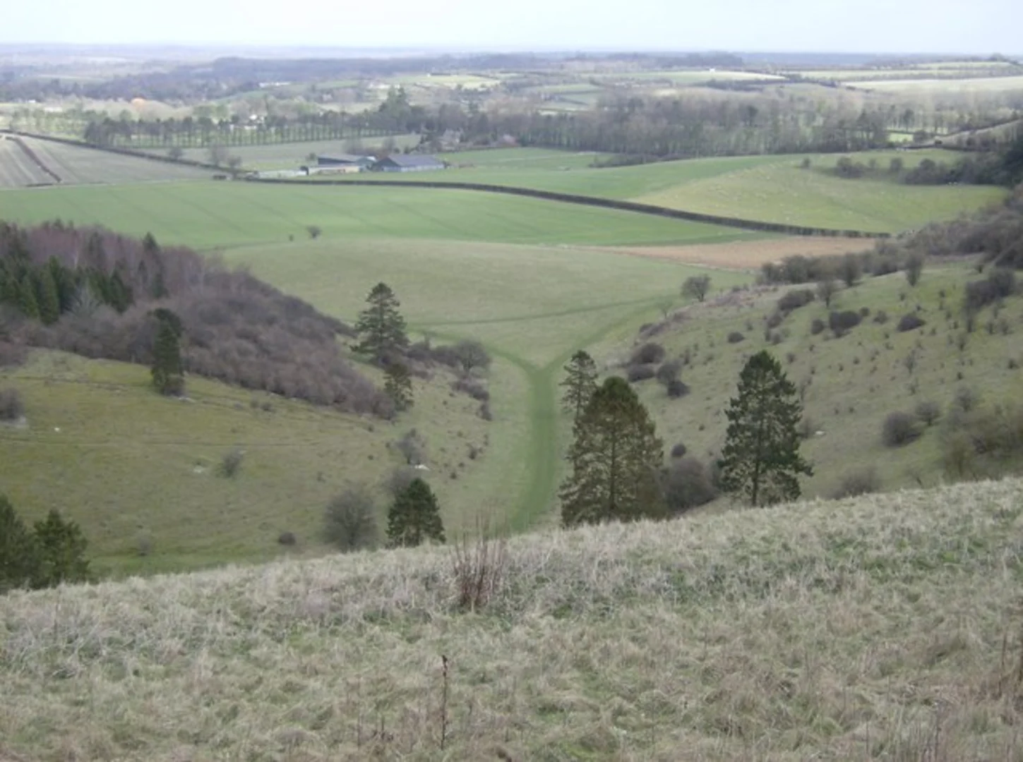 An image depicting the trail Fir Wood and The Warren Loop and its surrounding area.