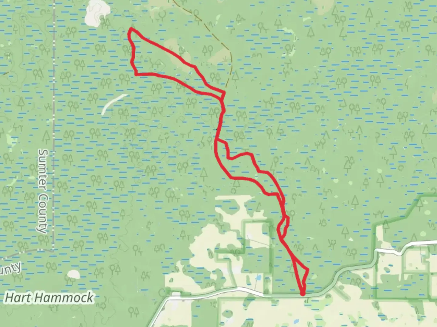 An image depicting the trail Loggy Pond Swamp and Withlacoochee River Loop and its surrounding area.