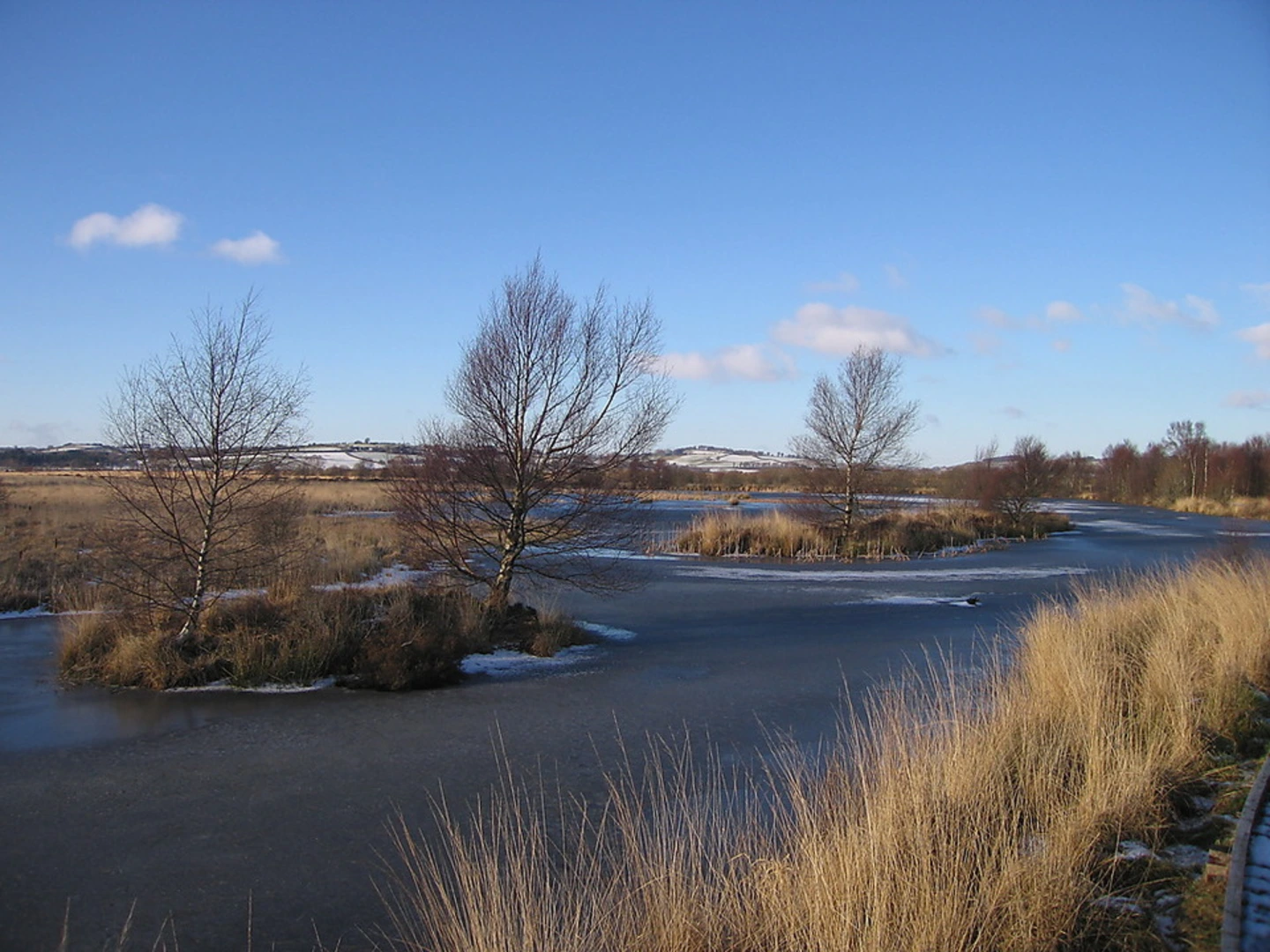 An image depicting the trail Cors Caron Loop and its surrounding area.