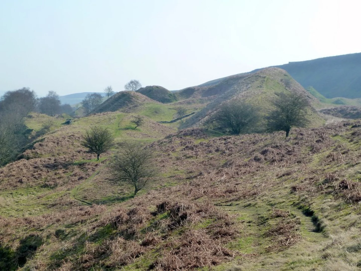 An image depicting the trail Rounds and Rabbit Warren Loop and its surrounding area.