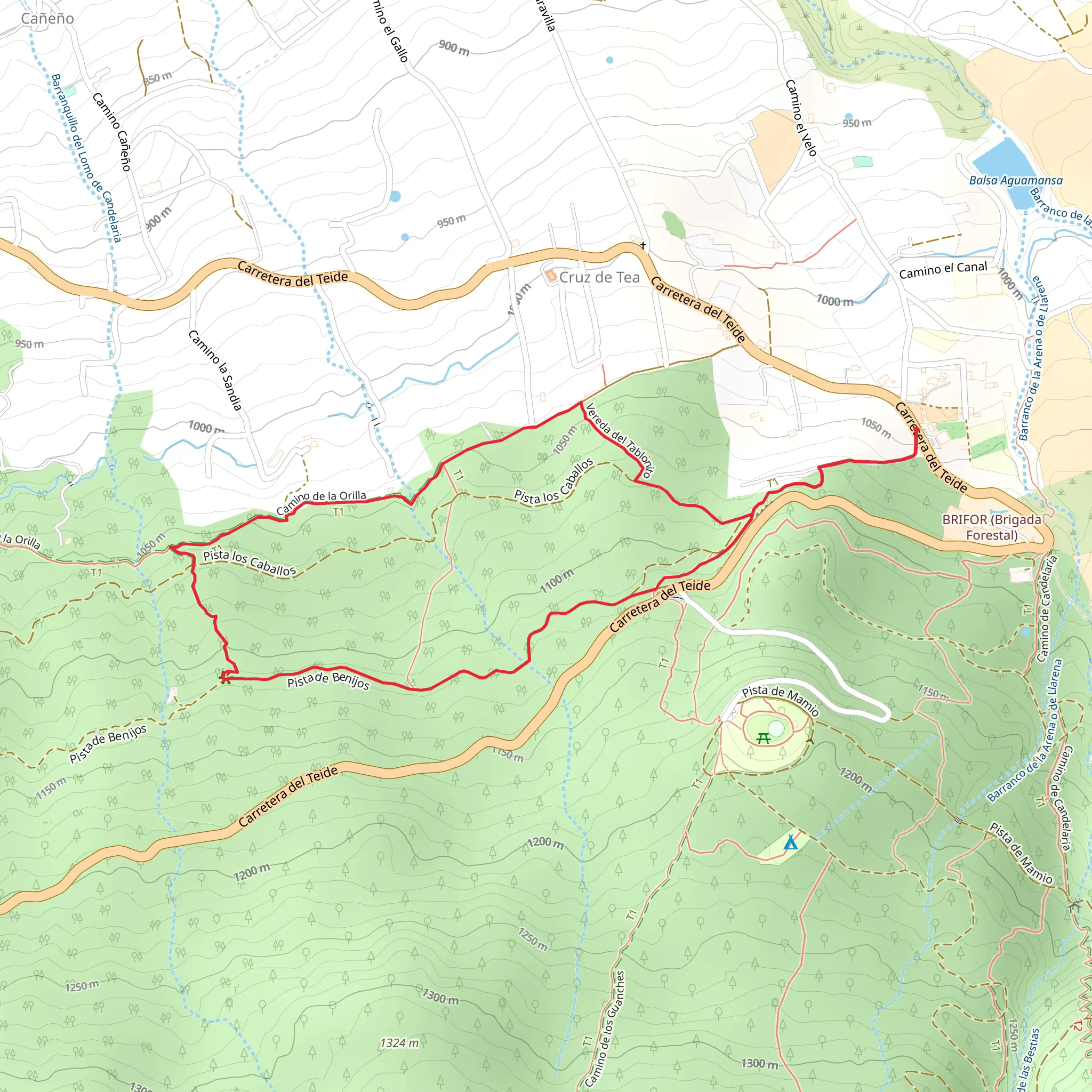 SL TF 81 Camino La Orilla del Monte mobile static map