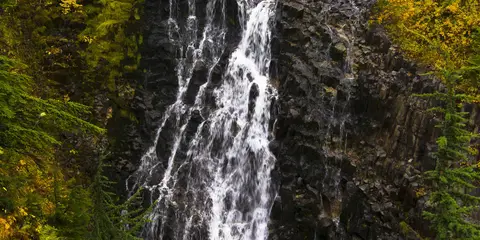 An image depicting the trail Dungeness - Marmot Pass Loop and its surrounding area.