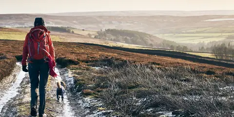 Pennypie and Blanchland from Baybridge
