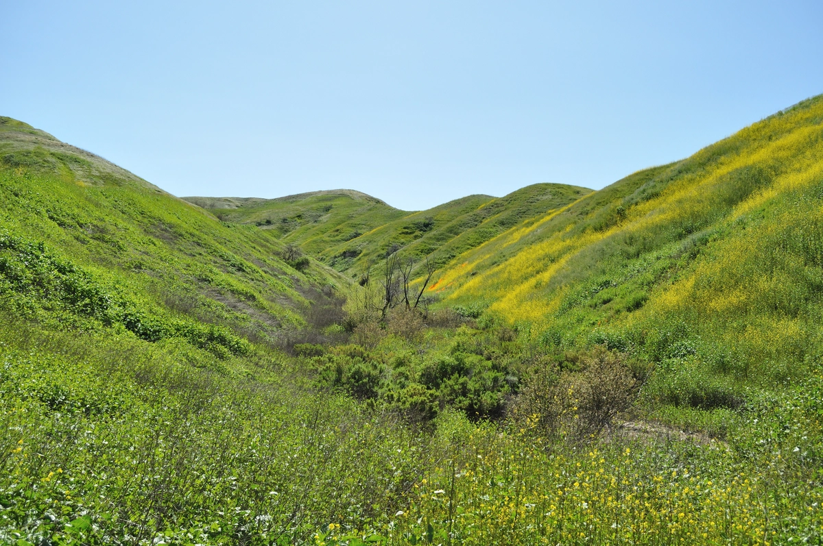 Brush Canyon and Scully Ridge Loop Trail