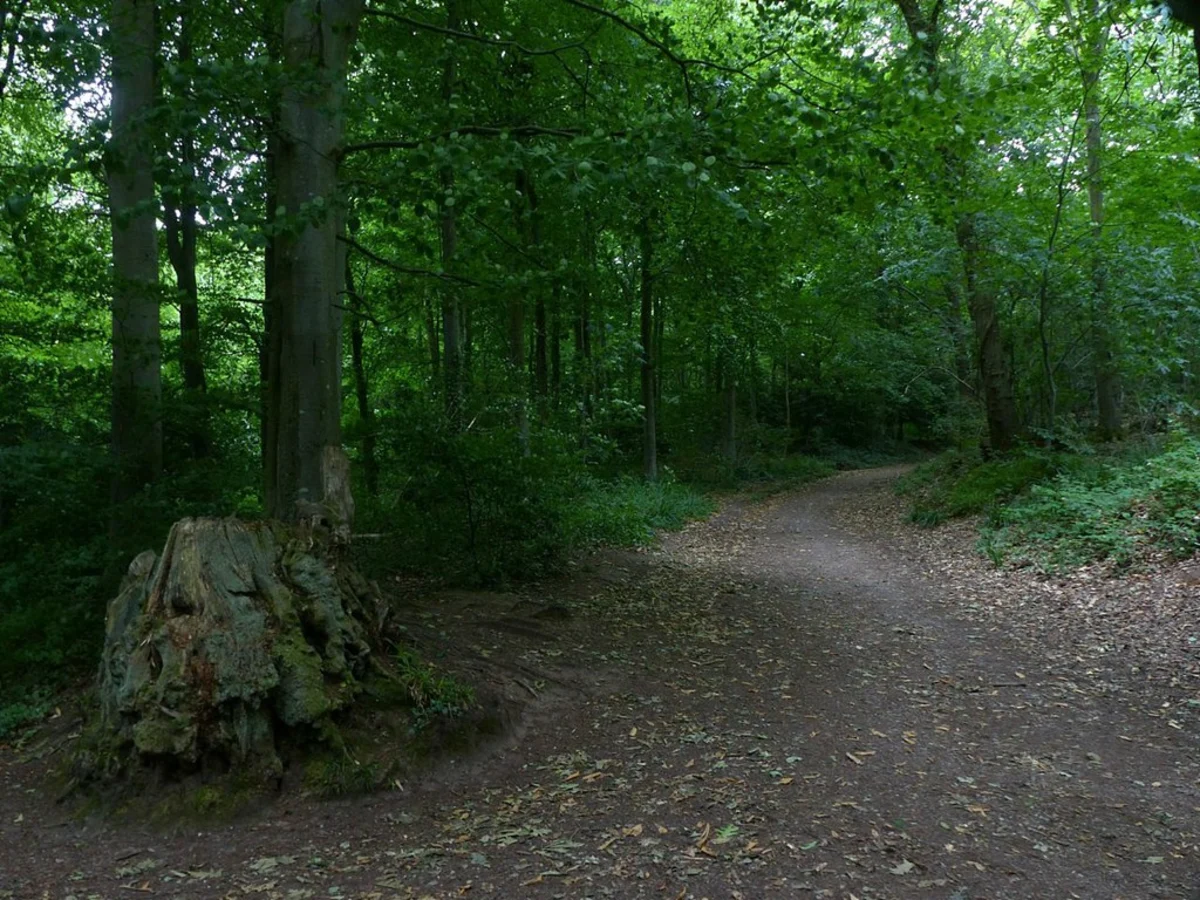 River Avon and Leigh Woods NNR Loop