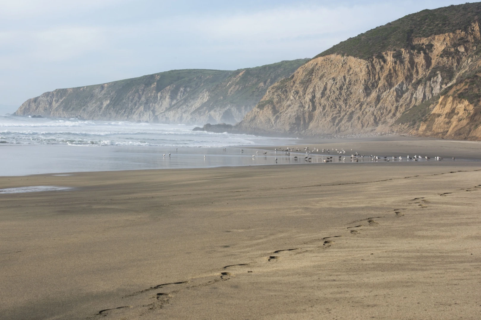 An image depicting the trail McClures Beach Trail and its surrounding area.