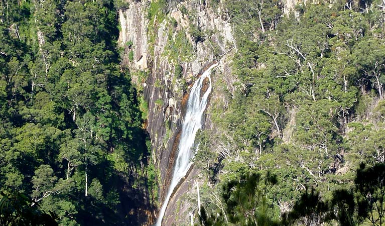 An image depicting the trail Carrai National Park and its surrounding area.