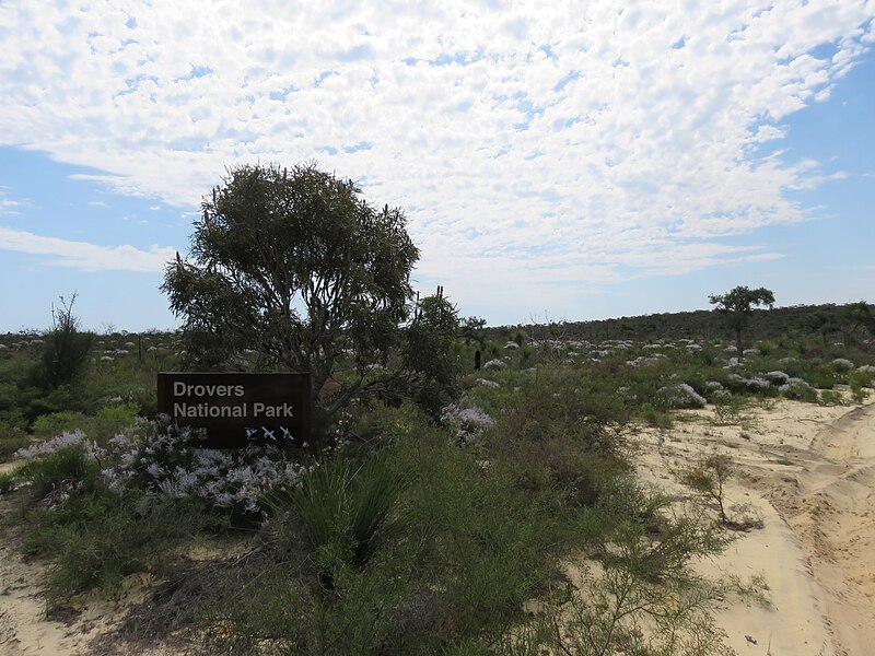 An image depicting the trail Drovers Cave National Park and its surrounding area.