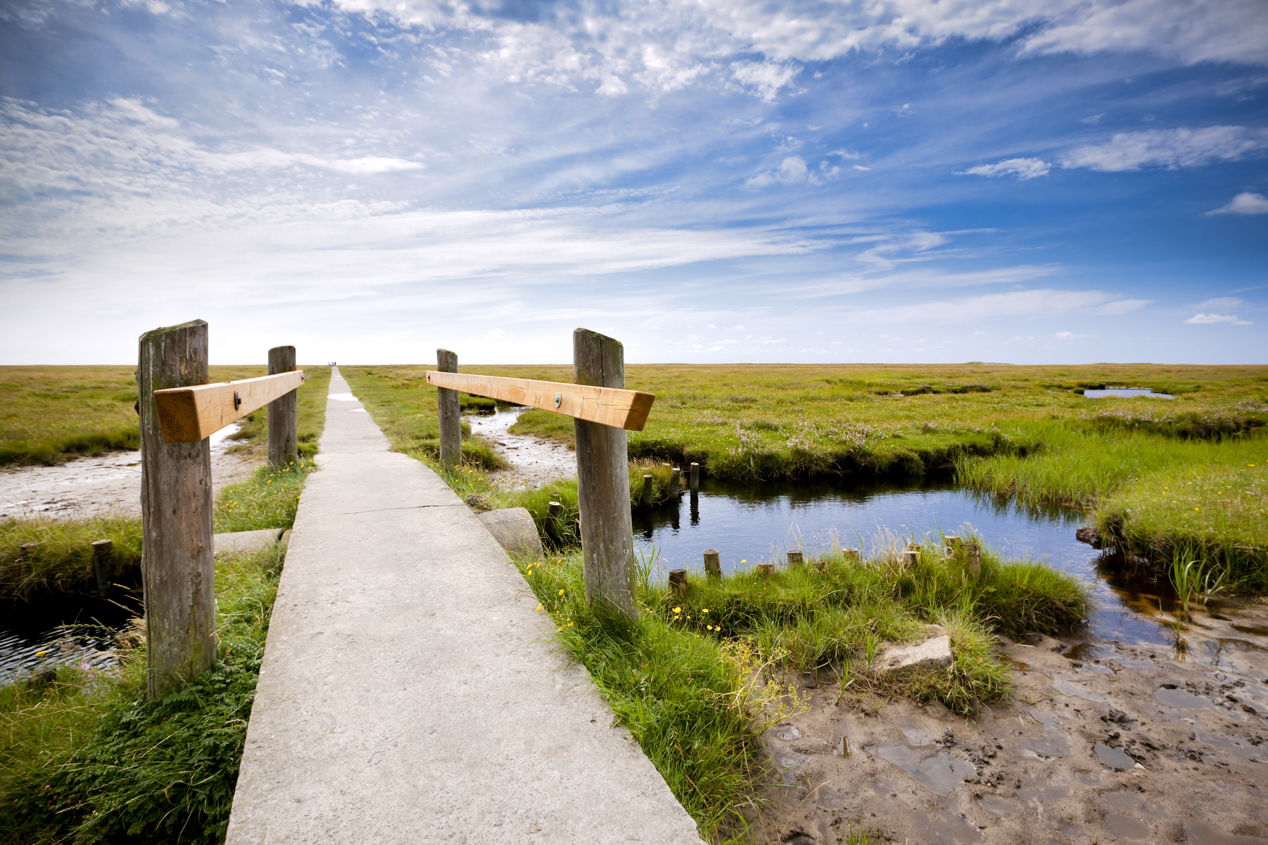 An image depicting the trail Schleswig-Holstein Wadden Sea National Park and its surrounding area.