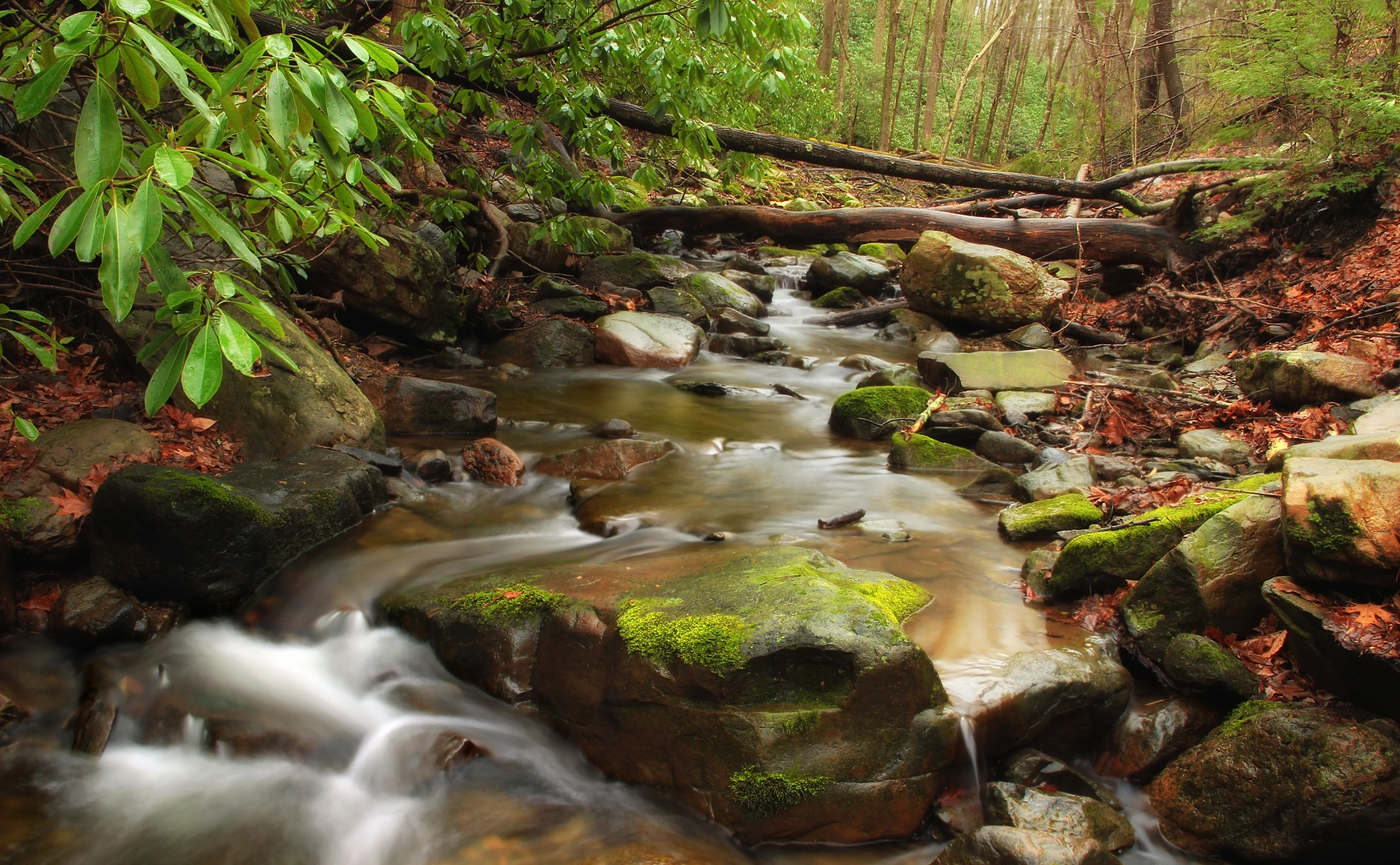 An image depicting the trail Slateford Creek from National Park Road and its surrounding area.