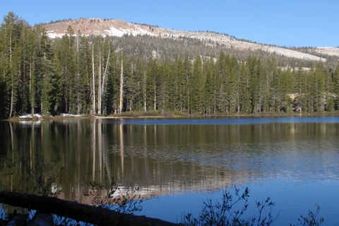 An image depicting the trail Cora Spur via Hole Trail and its surrounding area.