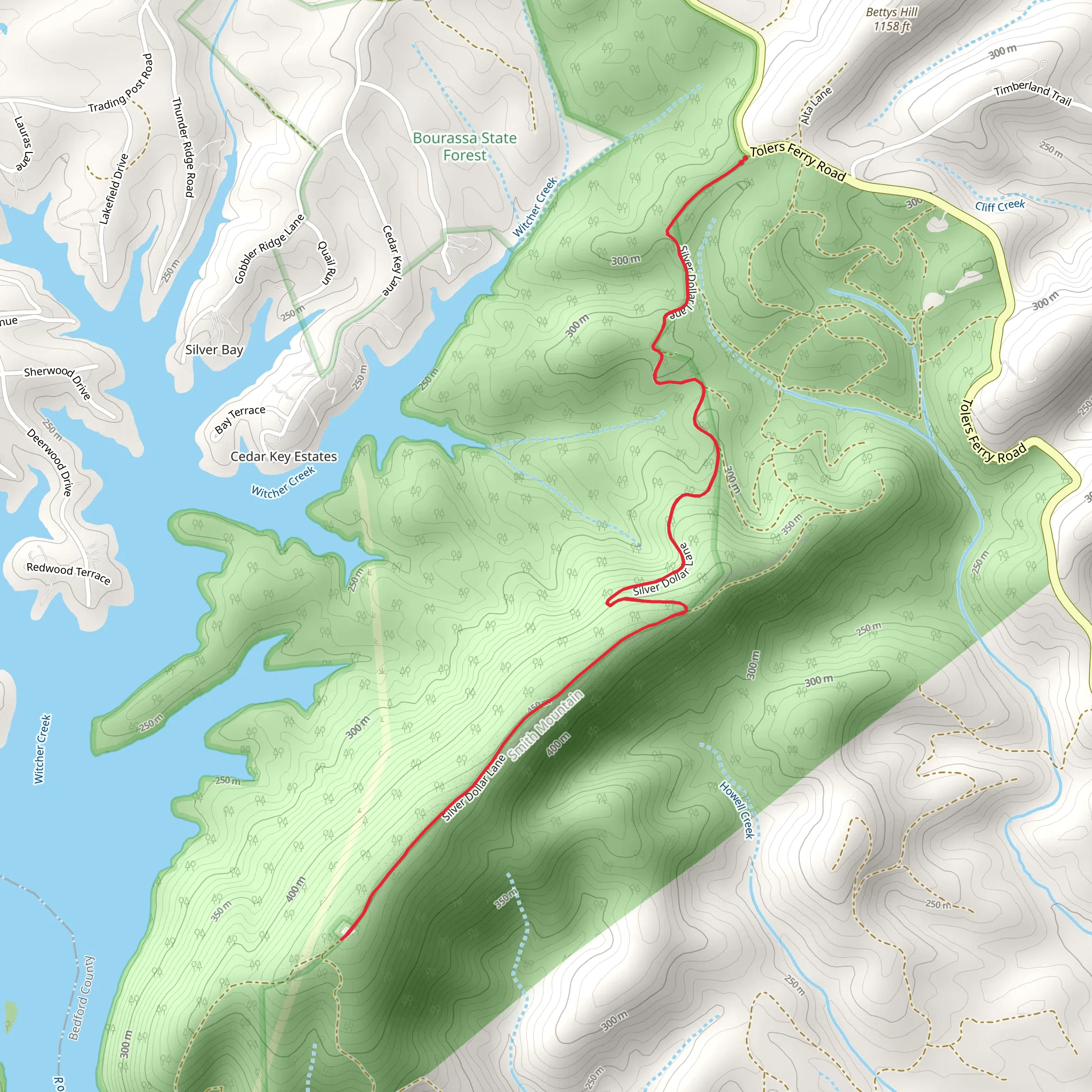 Silver Dollar Lane Walk mobile static map