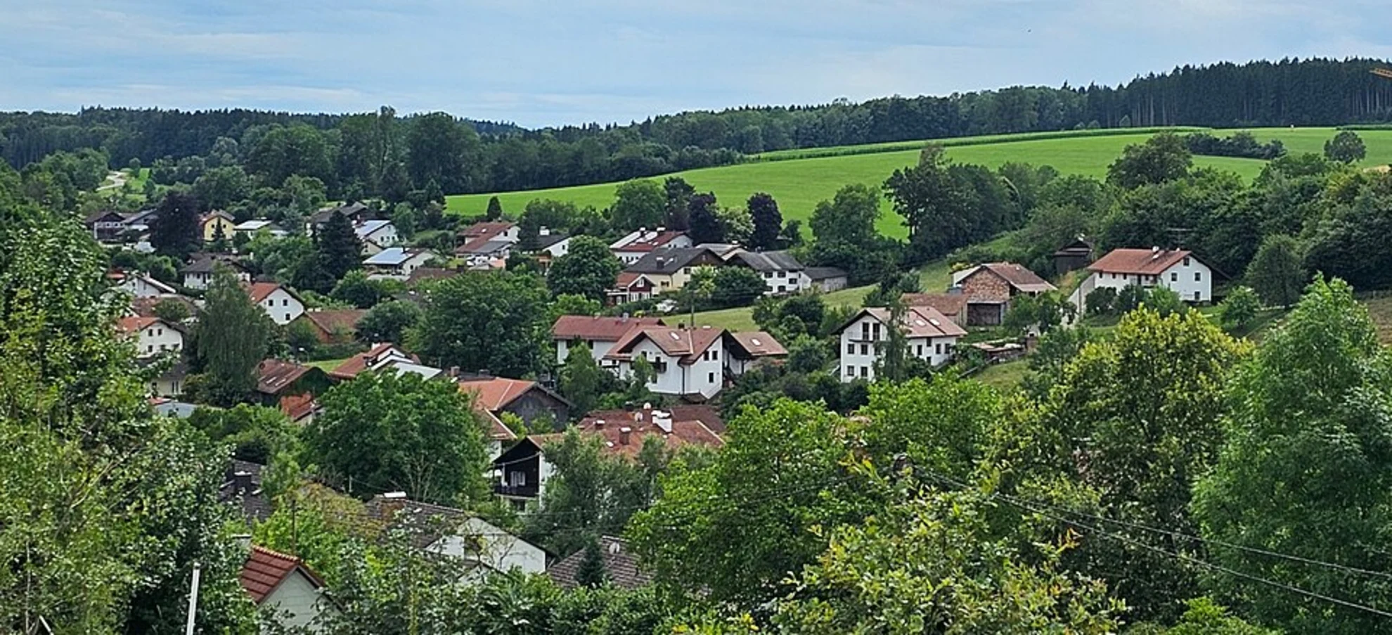 An image depicting the trail Burgrain Loop and its surrounding area.