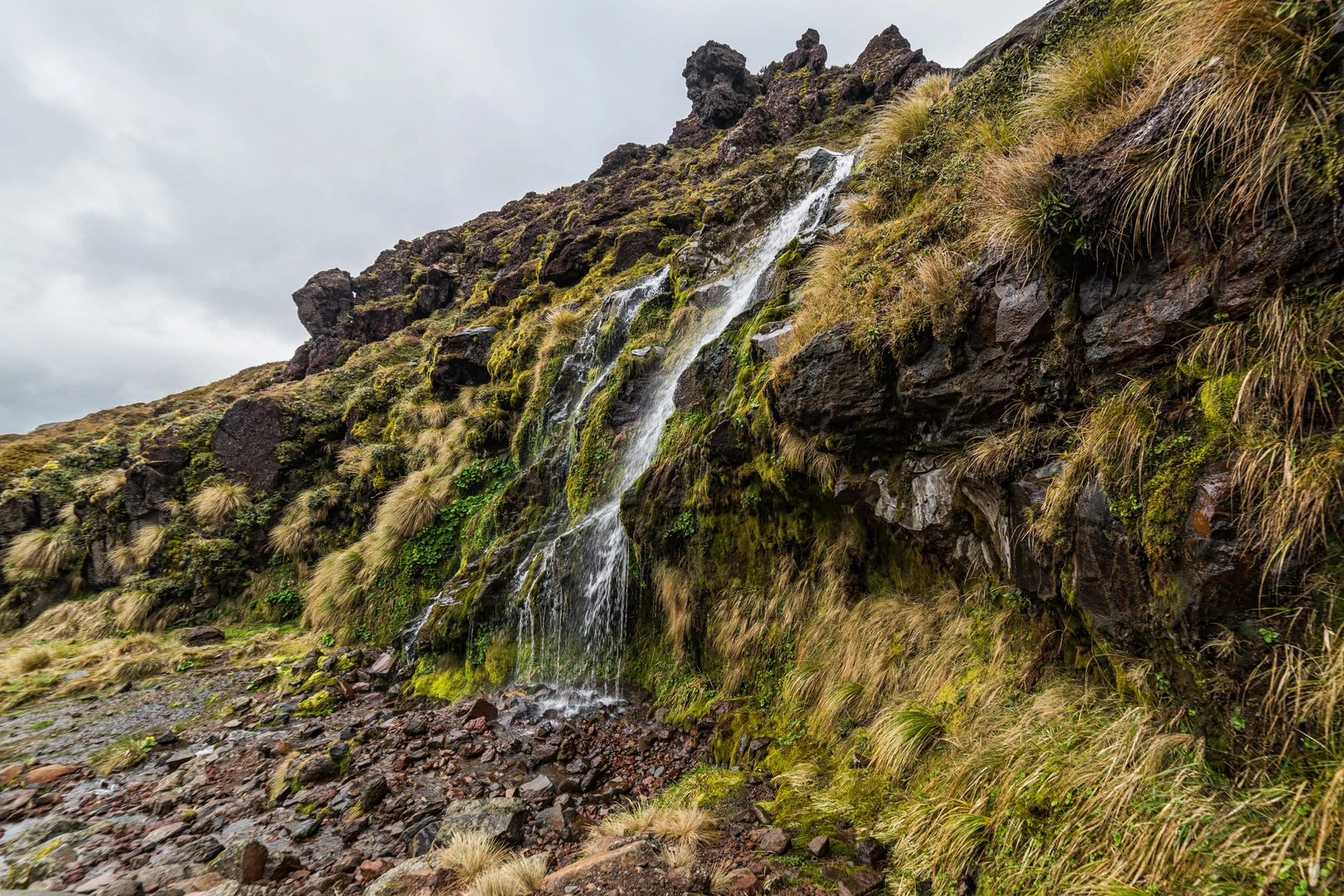 An image depicting the trail Soda Springs Walk and its surrounding area.