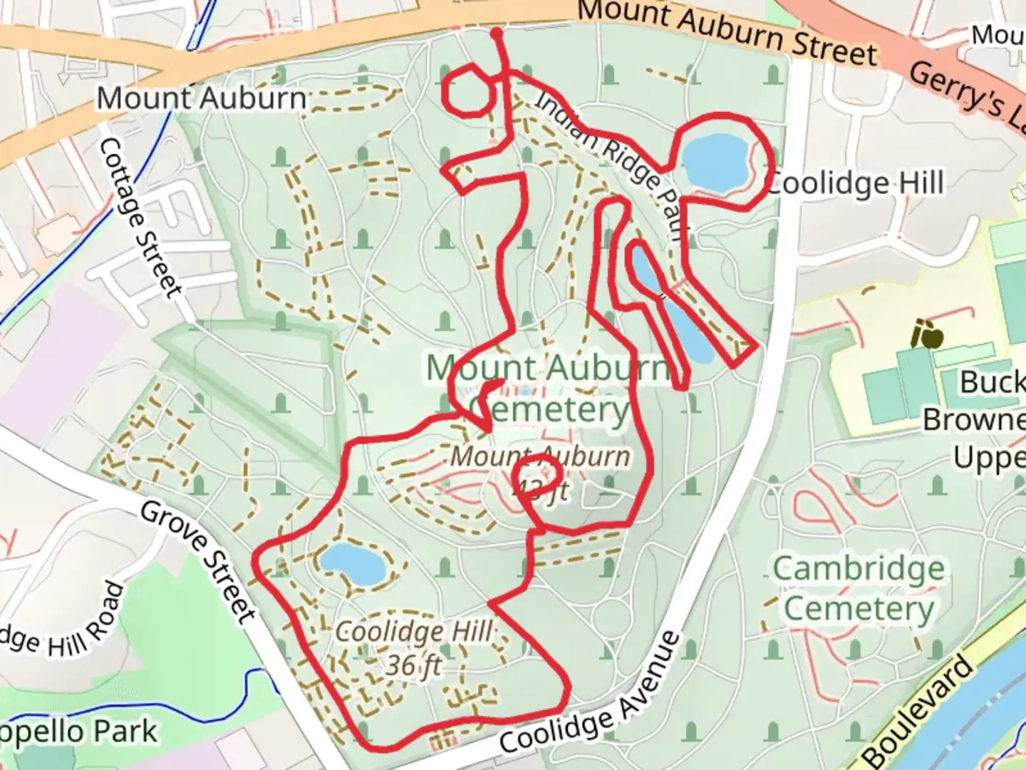 An image depicting the trail Willow Pond and Halcyon Lake Loop and its surrounding area.