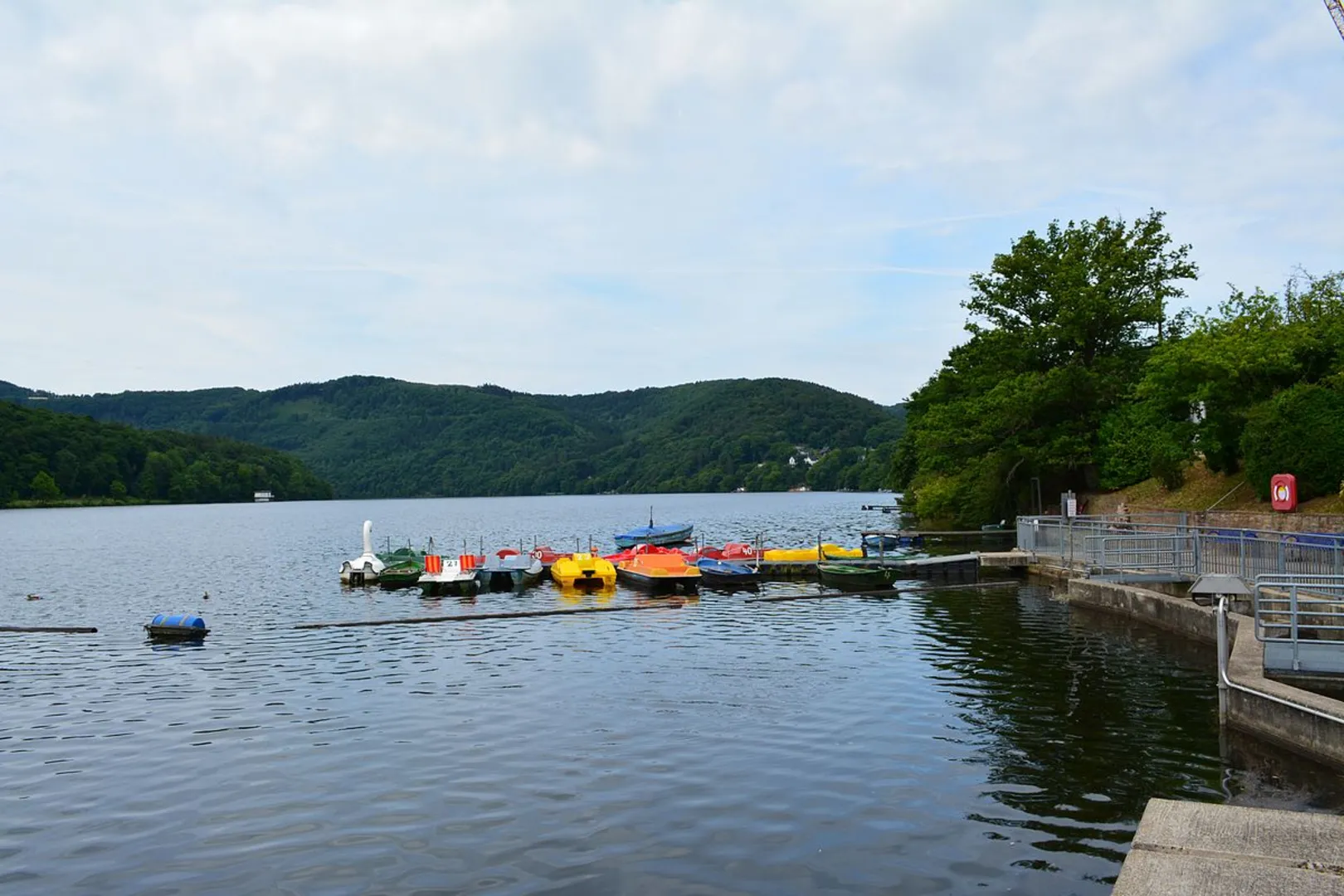 An image depicting the trail Rurtal bei Kreuzau and Talsperre Obermaubach via Loop via Felsenweg and its surrounding area.