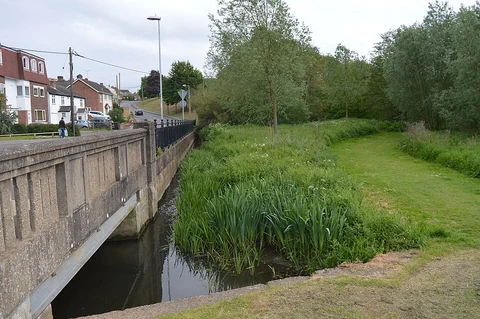 Witham to Braintree Walk