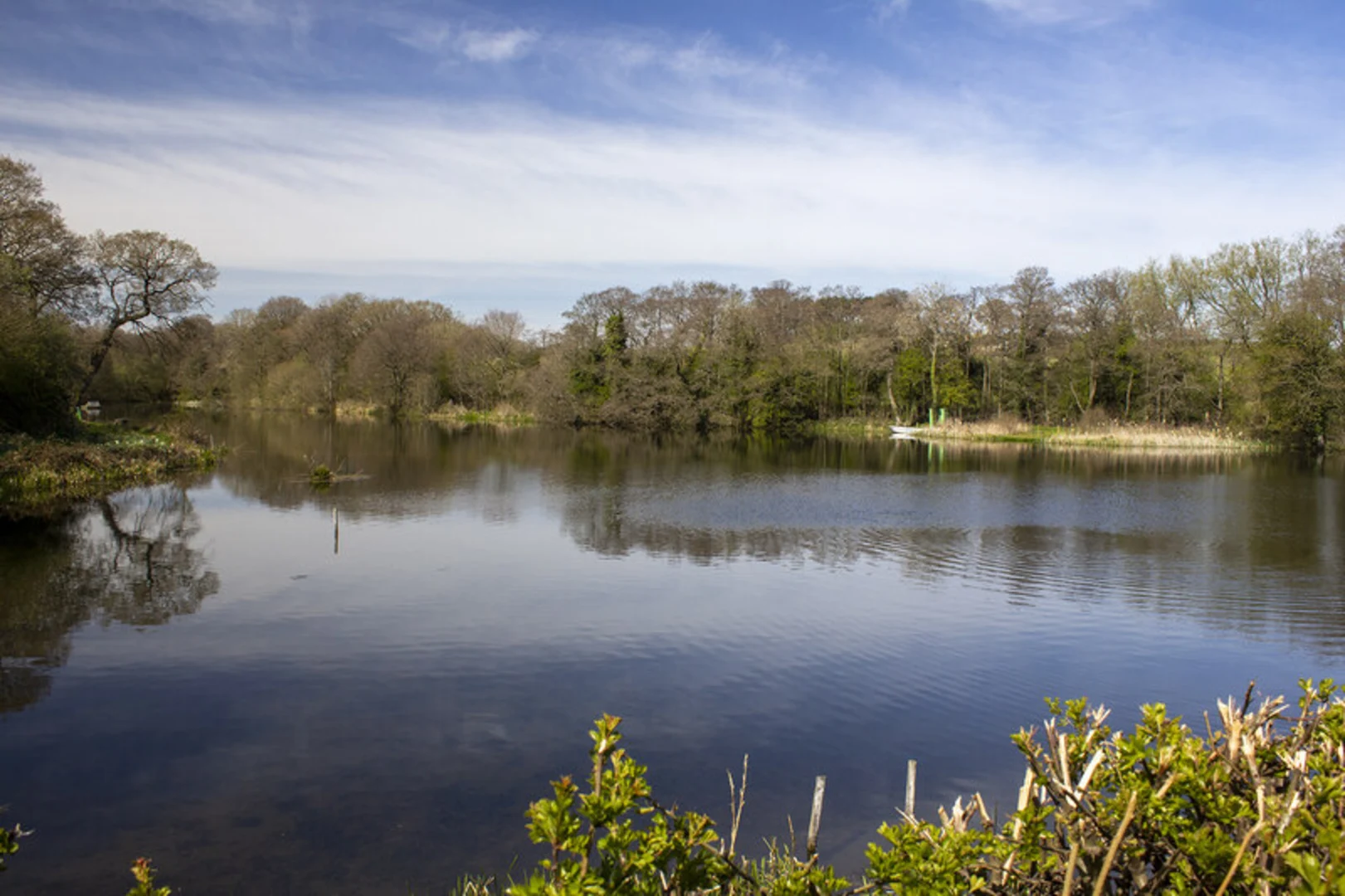 An image depicting the trail Lower Bitell Reservoir, Upper Bittell Reservoir and Barnt Green Country Park Loop and its surrounding area.