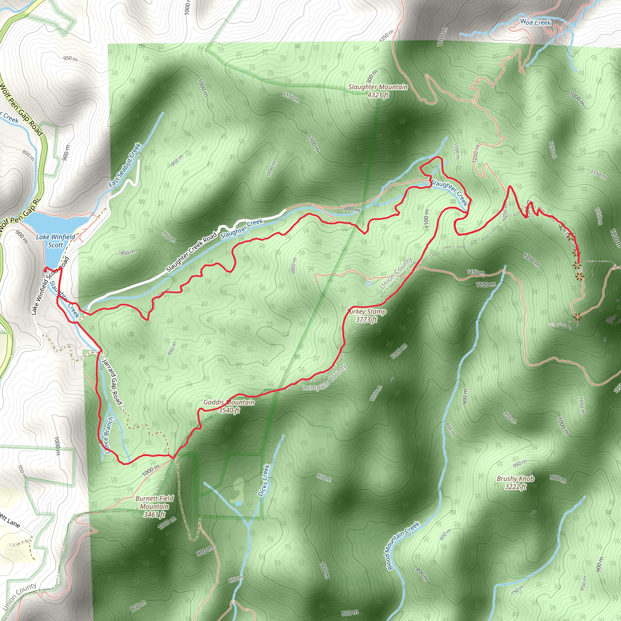 Blood Mountain via Slaughter Creek and Appalachian Trail Loop mobile static map