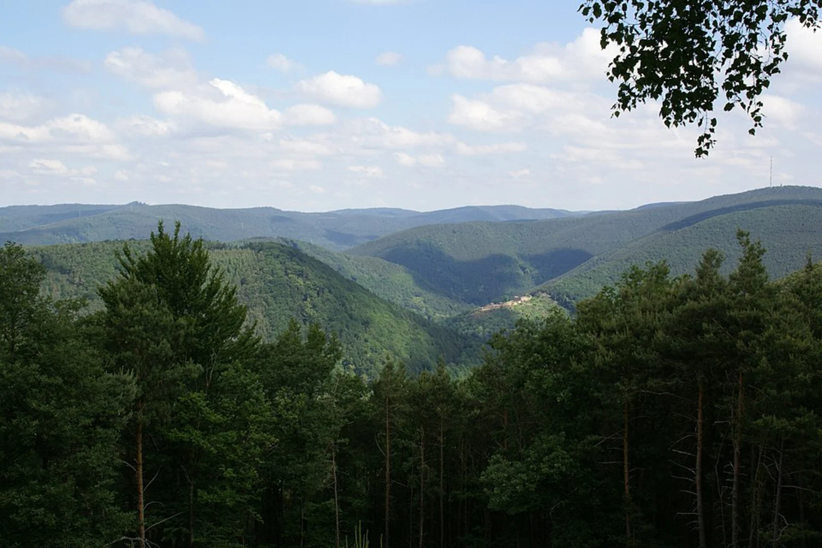 An image depicting the trail Hohe Loog, Nollenkopf Loop via Weinspange and its surrounding area.