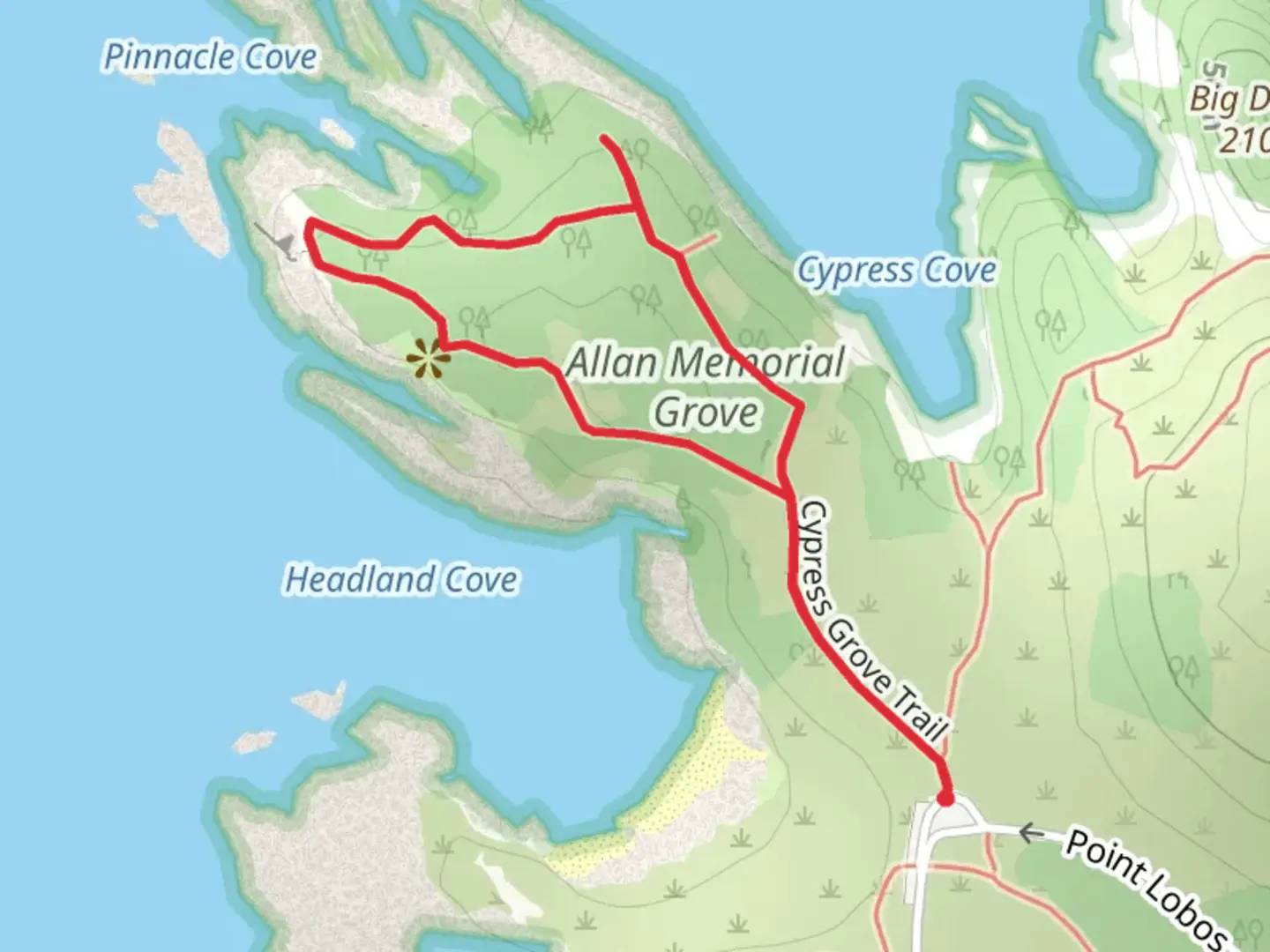 An image depicting the trail Cypress Grove Loop Trail and its surrounding area.