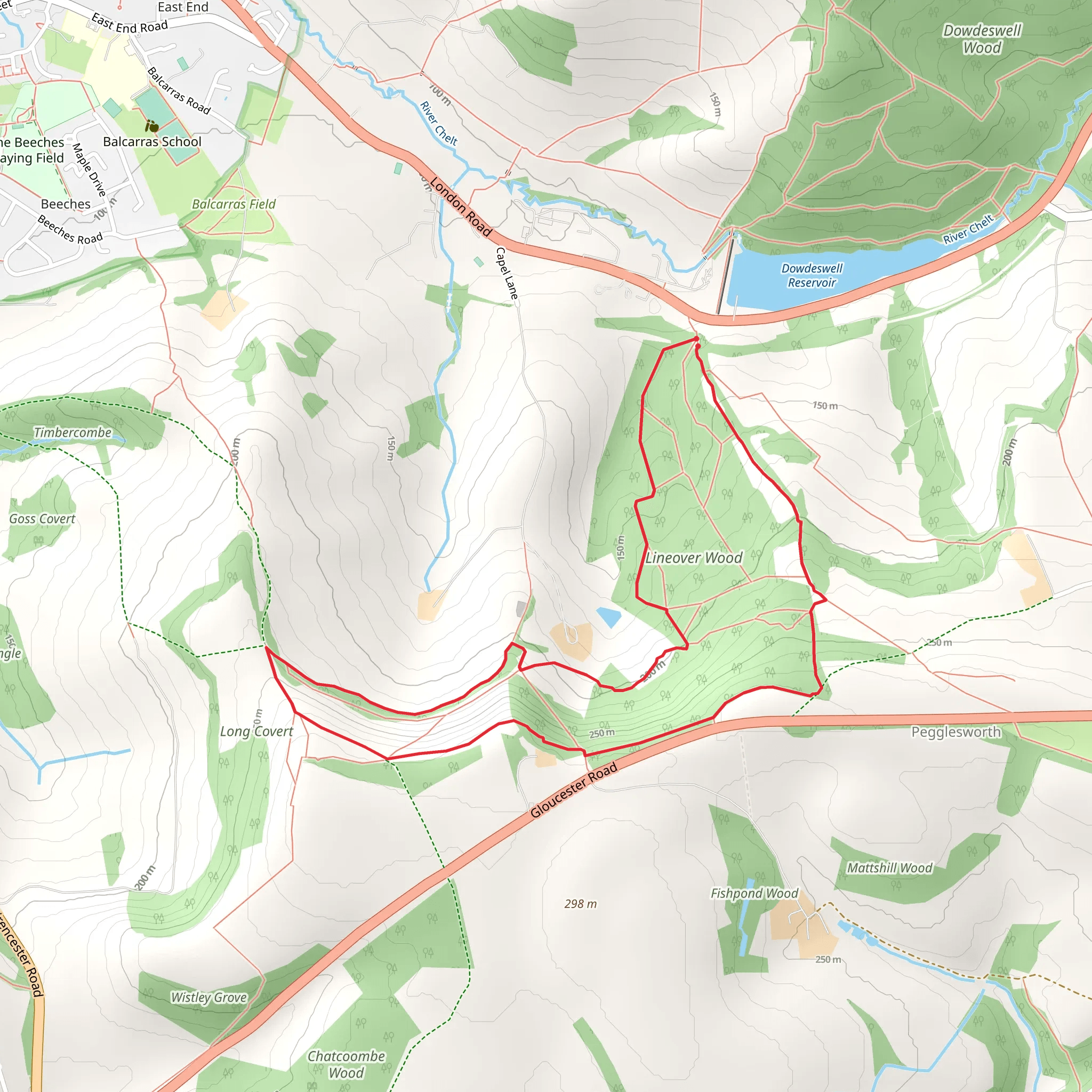 Lineover Wood Loop mobile static map