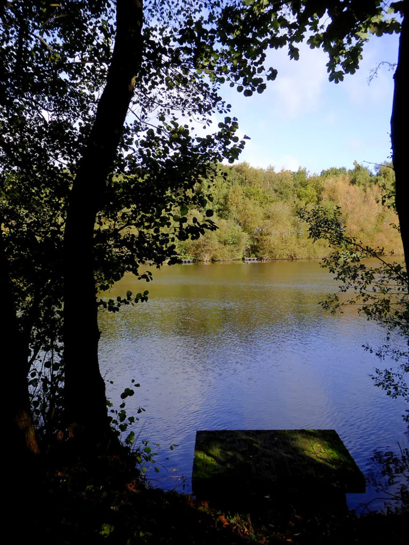 An image depicting the trail Fradley Reservoir and Rileyhill via Towing Path and its surrounding area.