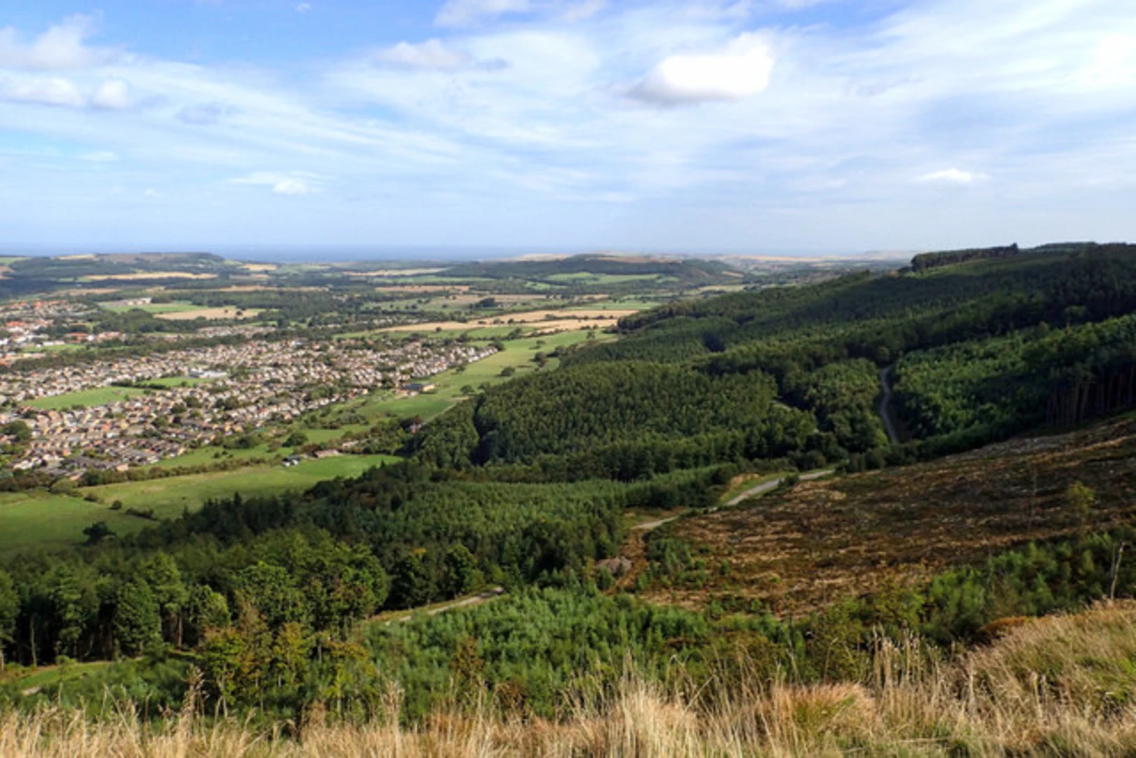 An image depicting the trail Harrison Close Wood, Holme Wood and Highcliffe Loop and its surrounding area.