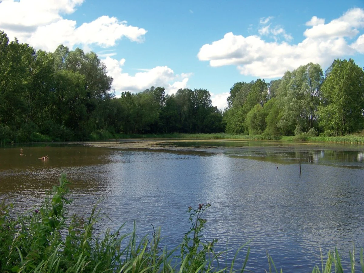 Biddulph Way and Whitfield Valley Local Nature Reserve Knot