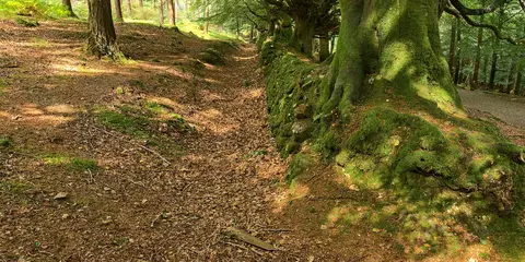An image depicting the trail Crone Woods to Djouce Mountain and War Hill and its surrounding area.