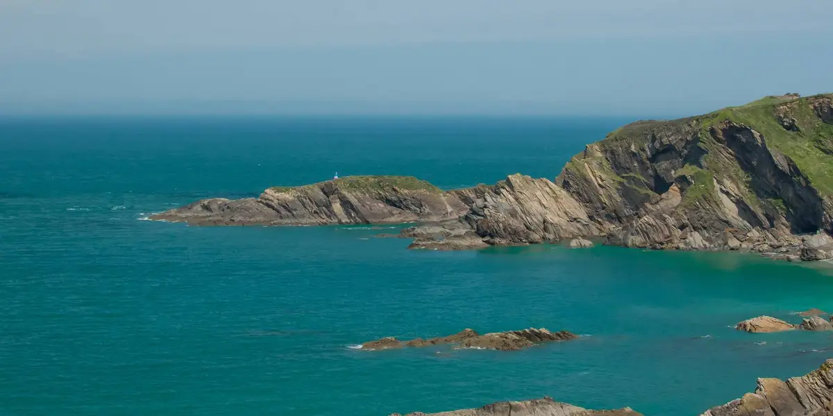 Hillsborough's Sleeping Elephant Walk