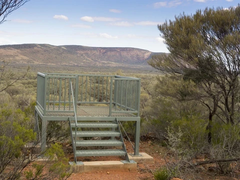 Little Mountain Track