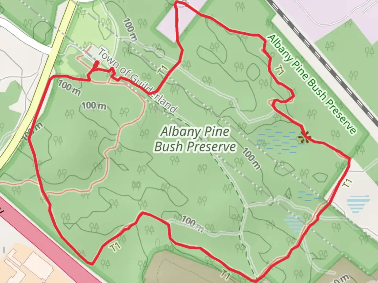 An image depicting the trail Karner Barrens Yellow Trail and its surrounding area.