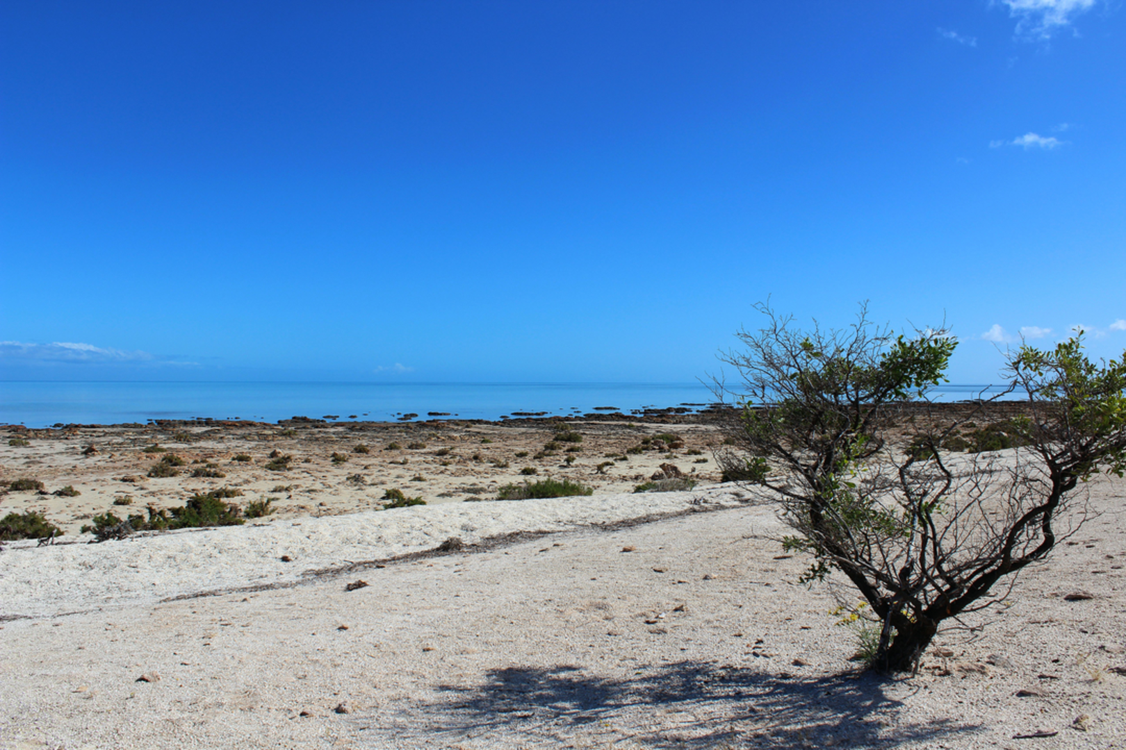 An image depicting the trail Boolagoorda Trail and its surrounding area.