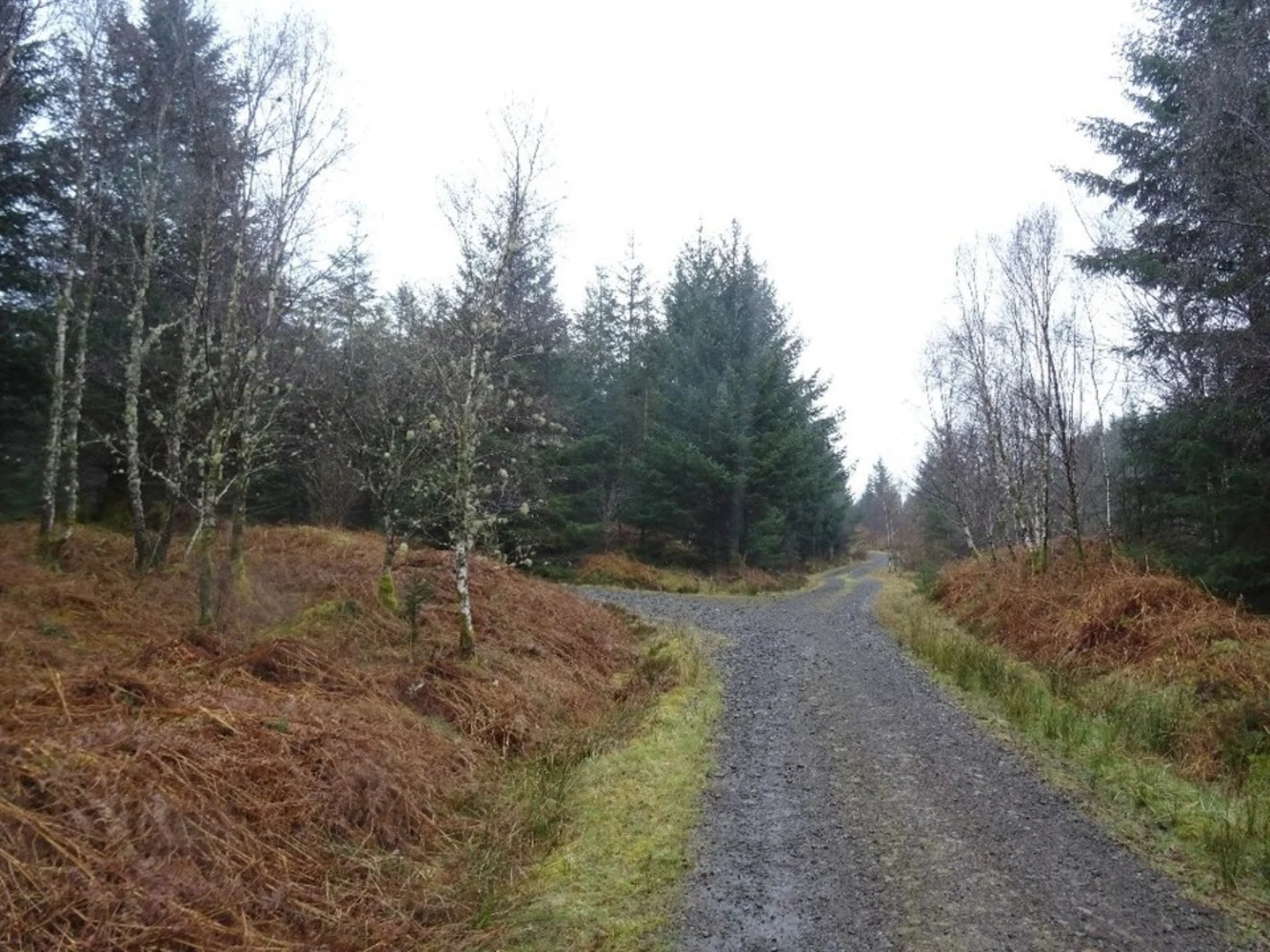 An image depicting the trail Ant Hill Loop Trail and its surrounding area.