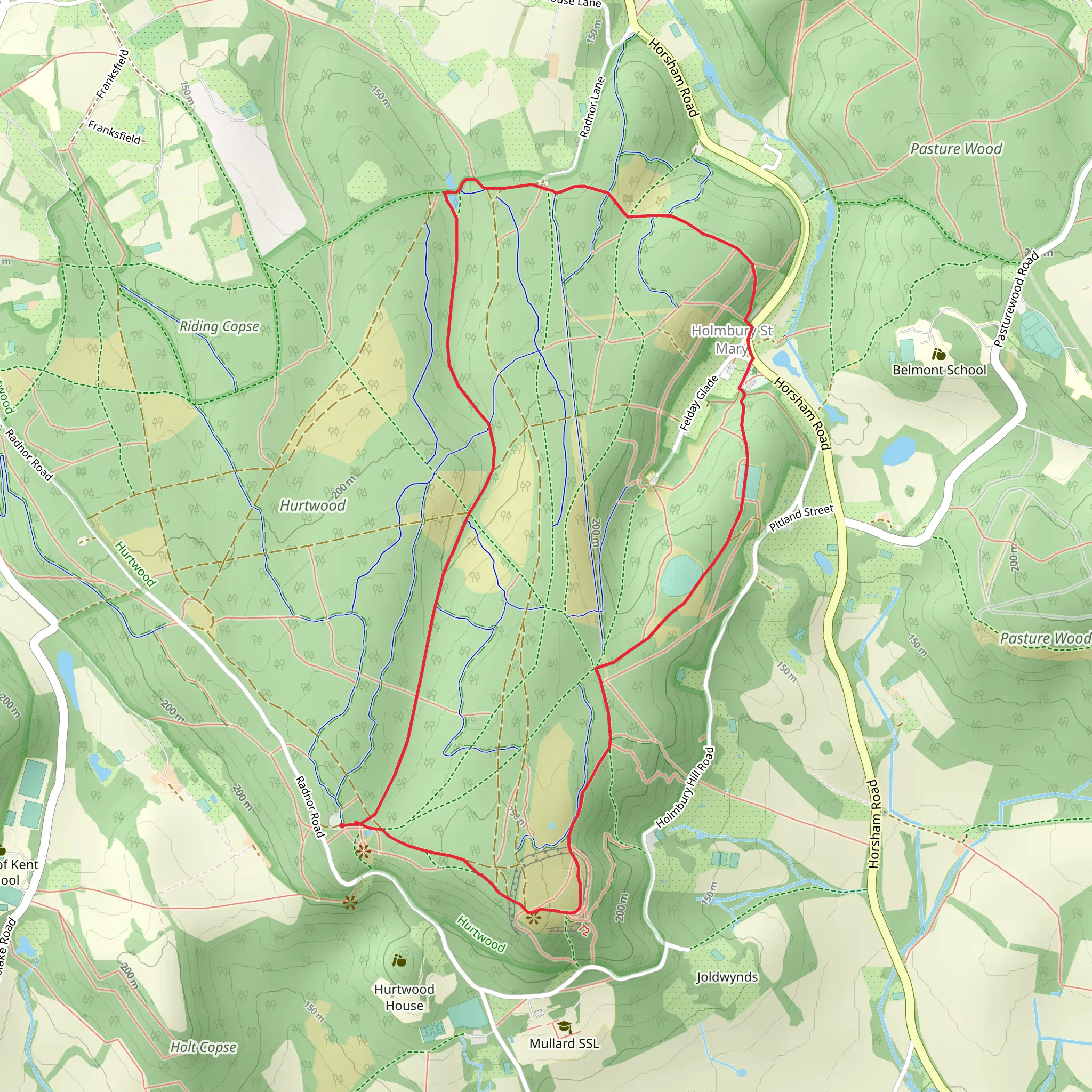 Holmbury Hill and Hurt Wood Loop mobile static map